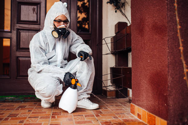 Reliable Wasp Removal contractor in Marlow Heights, MD by Show Me Pest Control