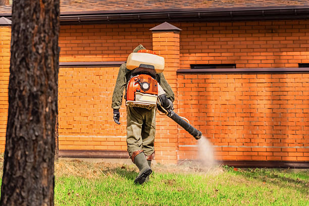 Top rated local Wasp Removal specialists in Marlow Heights, MD